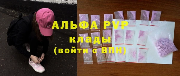 прущие грибы Киренск