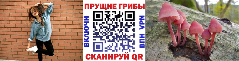 Галлюциногенные грибы MAGIC MUSHROOMS  Тосно 